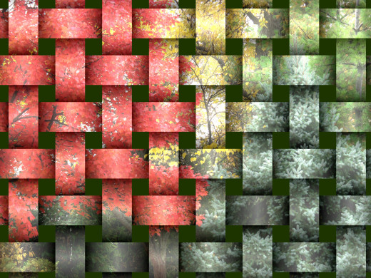 591508 (a): :1915x1436